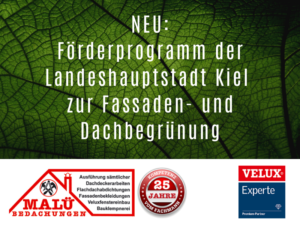 Förderprogramm der Landeshauptstadt Kiel zur Fassaden- und Dachbegrünung