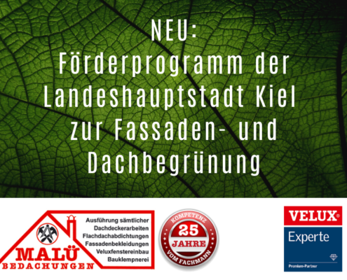 Förderprogramm der Landeshauptstadt Kiel zur Fassaden- und Dachbegrünung