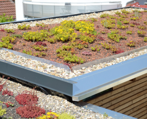 Foto eines Gründachs